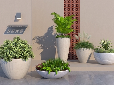 盆栽 现代落地盆栽 庭院植物
