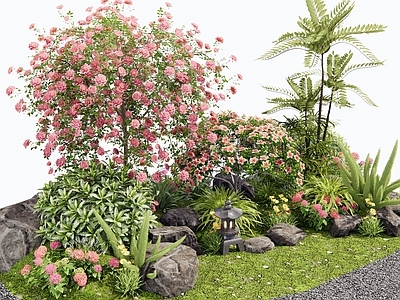 花草 花境 花坛花草 灌木植物 植物组合 月季花卉