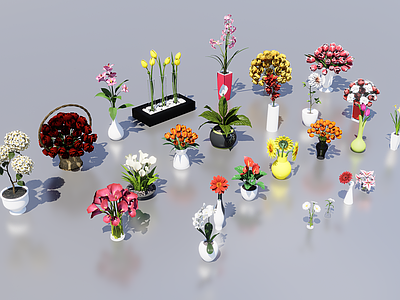 花 植物花瓶