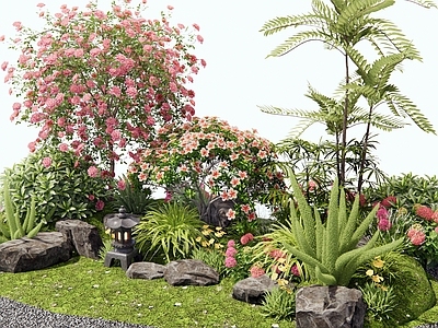 花草组合 花境 灌木 植物堆 花坛花草 月季花