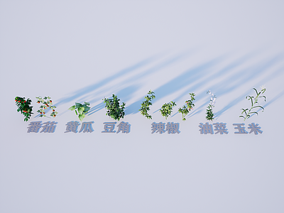 水果蔬菜 蔬菜水果 番茄黄瓜豆角 辣椒油菜玉米 农作物 菜园菜地