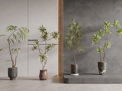 盆栽 绿植盆栽 盆景 中古风盆栽