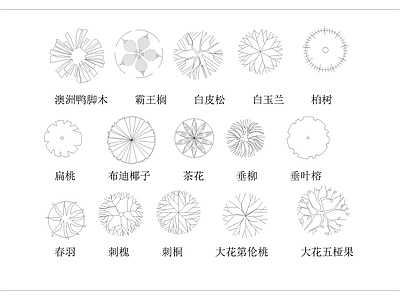 现代新中式植物配置图库 苗木素材 花境图库 花架图库 花池图库 苗木平面 施工图