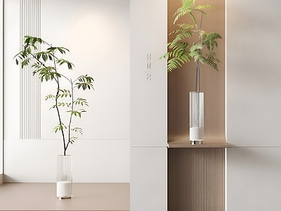 水生植物 水生植物 绿植 花瓶