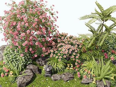 花草 花境 花卉 灌木 植物组合 花坛花草