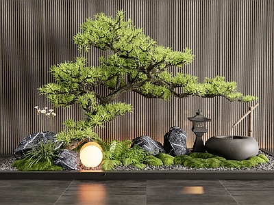 新中式室内景观 松树 苔藓 水钵水景 景观石 植物造景