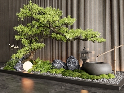 新中式室内景观 植物造景 水钵水景 罗汉松 景观石 苔藓