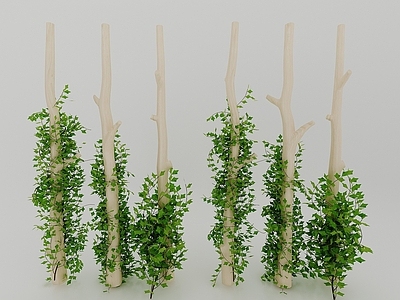 现代风格植物
