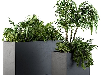 现代植物盆栽种植箱
