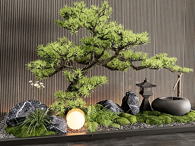 现代室内景观 庭院小品 植物造景 松树 苔藓 景观石