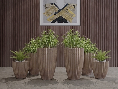 现代风格植物