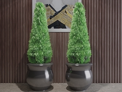 现代风格植物