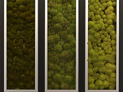 绿植墙 植物墙 苔藓墙 微景观墙面