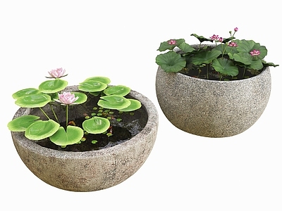 现代新中式水景 水缸荷花池 荷花池 室内景观水缸 中式景观小品 水缸 鱼池