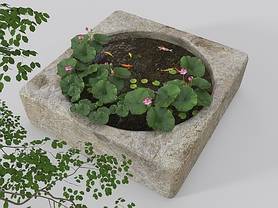 现代新中式水景 现代锦鲤池 原生水槽养鱼 荷花池 鱼池 石槽荷花池 庭院鱼池小品