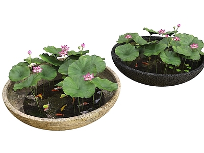 现代新中式水景 水缸荷花池 景观水缸 原生水槽养鱼 中式景观小品 水缸 鱼池