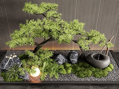 现代庭院小品 室内景观 松树 苔藓 水钵 景观石头