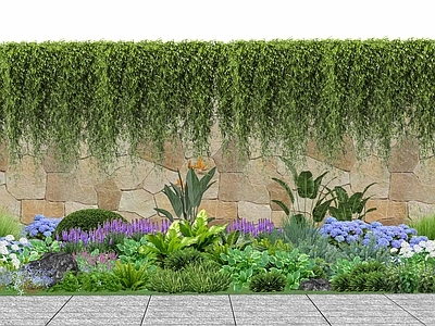 藤蔓 藤蔓植物 花架藤蔓 廊架藤蔓 花墙藤蔓 花墙