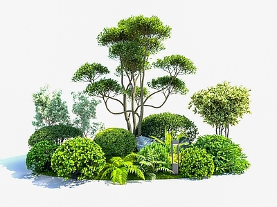 灌木 花草组合 景观树 灌木组合 植物组合 花草灌木组合