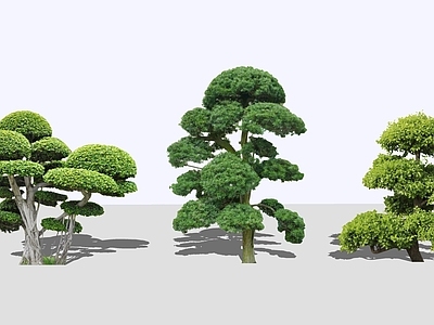 灌木 造型杜鹃 造型松 2D植物