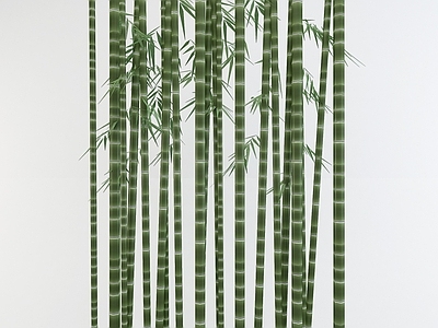 现代竹子竹竿植物盆栽