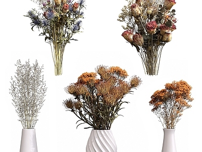 现代花瓶花草花卉干花干枝合集