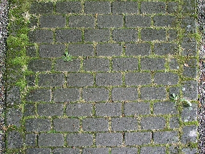 新中式中式植草砖 地砖 户外地面 生态砖 植草砖 嵌草砖
