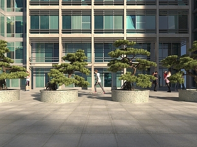 现代树池罗汉松建筑