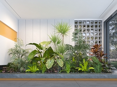 植物堆 现代庭院植物组合 灌木绿植