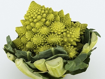 酒水食物 蔬菜