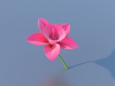 花 花 卡通花 野花