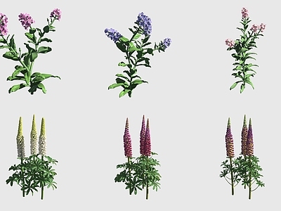 花草组合 勿忘草紫罗兰羽扇
