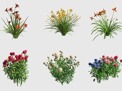 花草组合 萱草龙头花百合绣