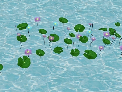 水生植物 池塘荷花 荷花灯