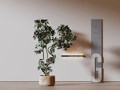 盆栽 现代绿植 盆栽 鹅掌柴盆栽 植物花盆 壁灯