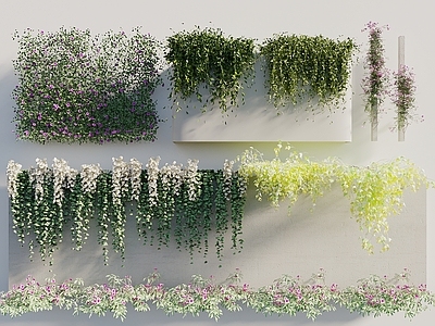 藤蔓 爬藤月季 爬藤植物 墙花墙 藤本灌木垂直绿化 灌木花草