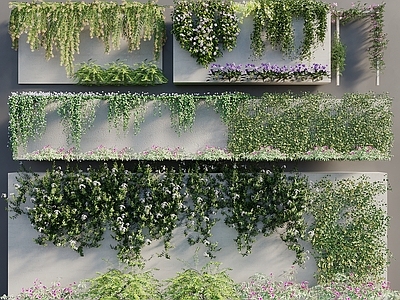 藤蔓 爬藤植物 爬藤月季 墙花墙 藤本灌木垂直绿化 灌木花草