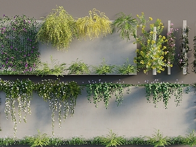 藤蔓 爬藤植物 爬藤月季 墙花墙 藤本灌木垂直绿化 灌木花草