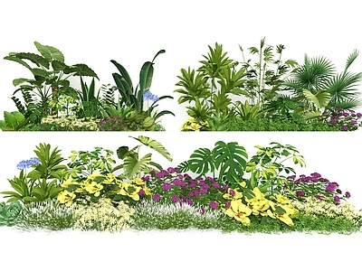 植物组合 植物组合 植物组团 花池植物 植物花草 树池植物组合