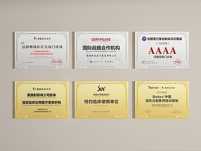 现代奖杯奖牌 证书 奖状 认证书 公司证书 资质证书