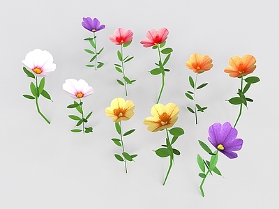 花 花朵 花草 室外植物 景观花 植物