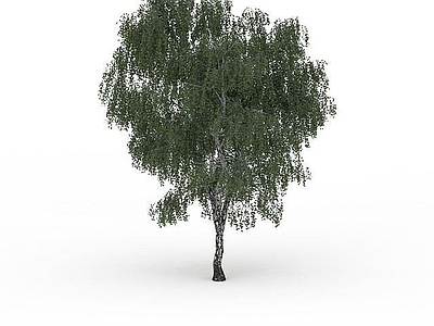 现代办公桌 茂盛杨树