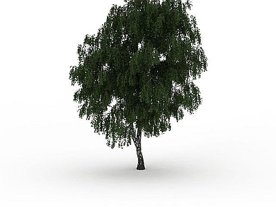 现代办公桌 茂密树木