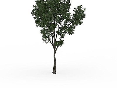 现代办公桌 茂密大树