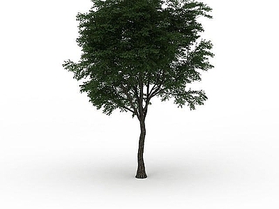 现代办公桌 景区植物树木