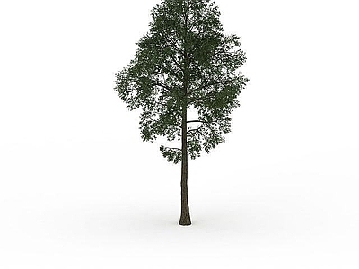 现代办公桌 茂盛榆树