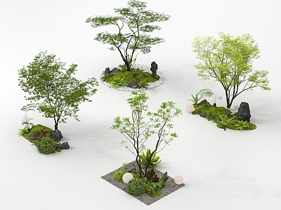 现代庭院小品 现代庭院小品 园林景观 植物造景 植物组合
