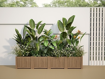 植物组合 树池植物组合 盆栽组合 鹤望兰 天堂鸟 花箱