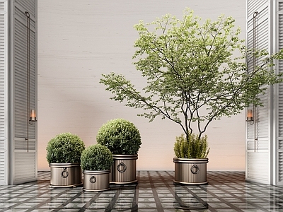 植物组合 盆栽组合 酒店苔藓 绿植组合 盆栽 盆景