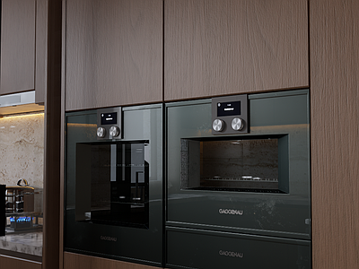 烤箱 嘉格纳 烤箱 蒸烤箱 gaggenau